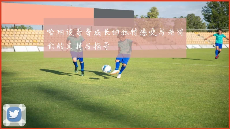 哈珀谈哥哥成长的独特感受与老将们的支持与指导