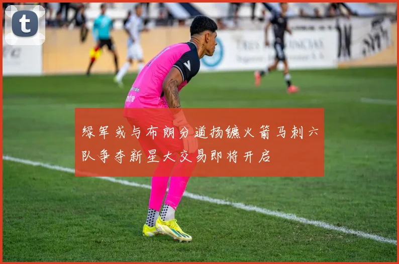 绿军或与布朗分道扬镳火箭马刺六队争夺新星大交易即将开启