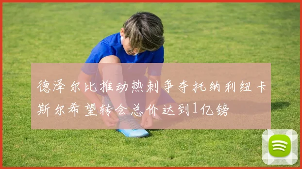 德泽尔比推动热刺争夺托纳利纽卡斯尔希望转会总价达到1亿镑